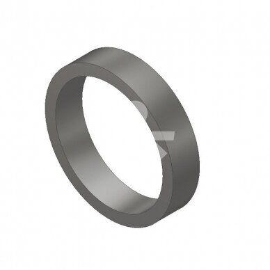 Cilindro žiedas VZ00014856 FA