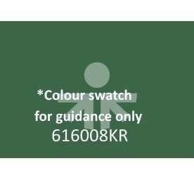 Краска Fendt зеленая до 1988 года 1л 616008KR 1