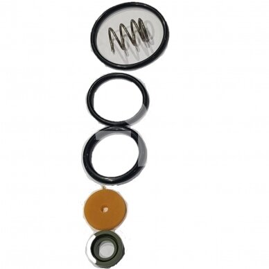 Remontinis komplektas MM86 vožtuvo 00118 21602 798 Agrio Remontinis komplektas MM86 vožtuvo 00118 21602 798 Agrio